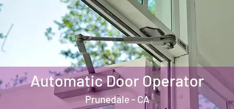 Automatic Door Operator Prunedale - CA
