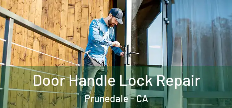 Door Handle Lock Repair Prunedale - CA