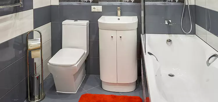 Hansgrohe Shaving Mirror Prunedale