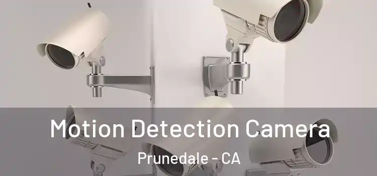 Motion Detection Camera Prunedale - CA