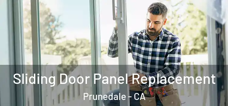  Sliding Door Panel Replacement Prunedale - CA