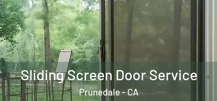 Sliding Screen Door Service Prunedale - CA